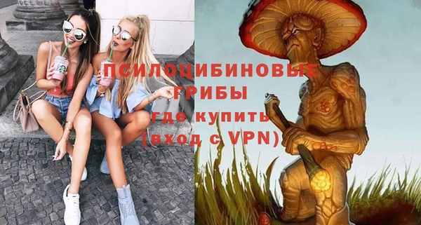 стаф Волосово