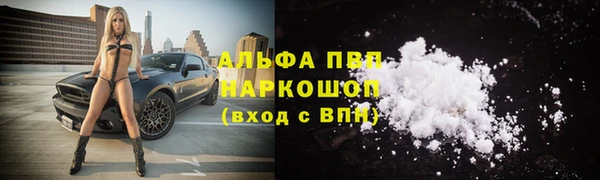 стаф Волосово
