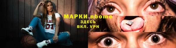 стаф Волосово