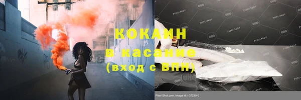 стаф Волосово