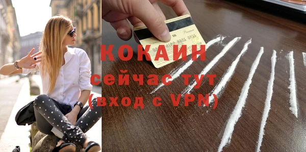 стаф Волосово