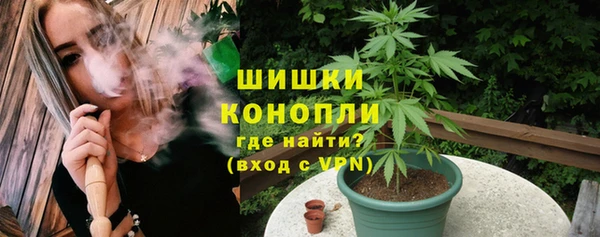 прущие крисы Пересвет
