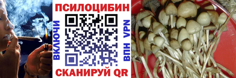 где купить Елец МЕГА ссылки Псилоцибиновые грибы Magic Shrooms