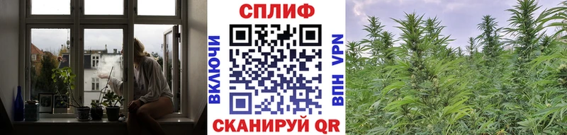Конопля Amnesia  где продают наркотики  Елец 